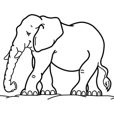 Free Coloring Pages Print on Animal Coloring Pages Easy Elephant Color Sheet