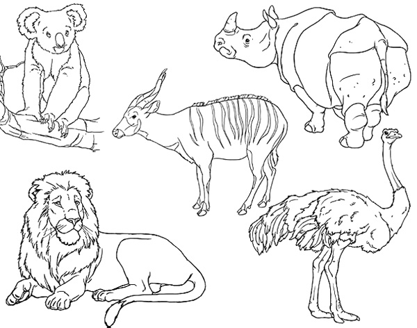 animal pictures for coloring. Animal Coloring Pages