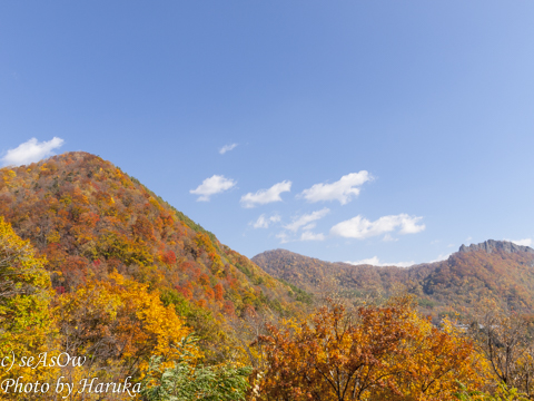 札幌市内秋の山