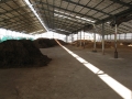 H25.12.25牛糞堆肥置場の様子＠IMG_0422