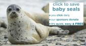 Save Baby Seals 小