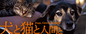 犬と猫と人間と オフィシャルサイト