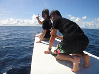 セブ島ダイビングショップ　アクアスケープ　アイランドホッピング＋セット体験ダイビング