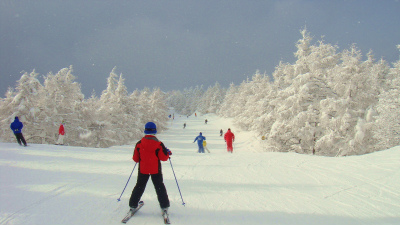 スキー　1