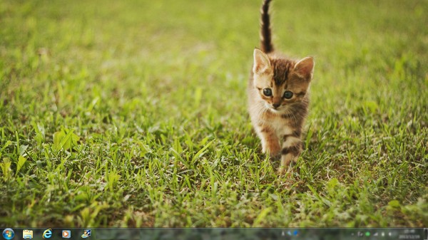 Msnダウンロードの かわいい子猫壁紙 カロシーのブログ