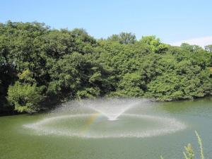 明石公園の噴水