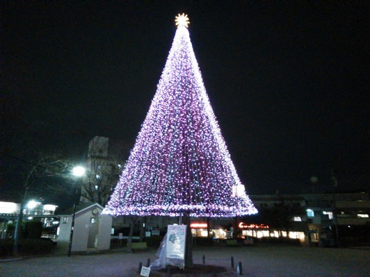 植田公園クリスマスツリー