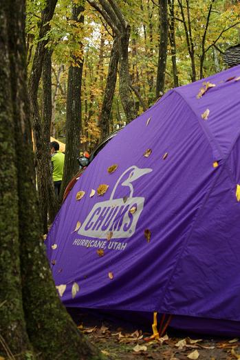 紫のテントっていいな。