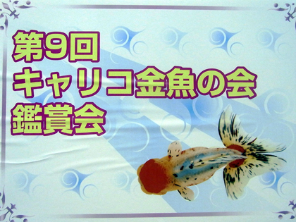 キャリコ金魚