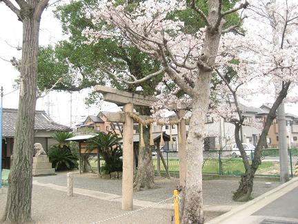 菅原神社の鳥居と桜(2012.04.11)