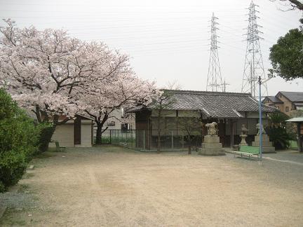 菅原神社の本殿と桜(2012.04.11)
