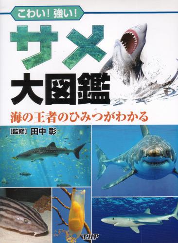 shark guide