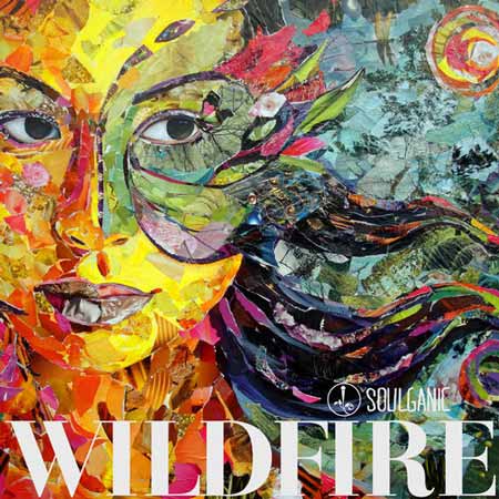 Soulganic - Wildfire / Temporary Thrill