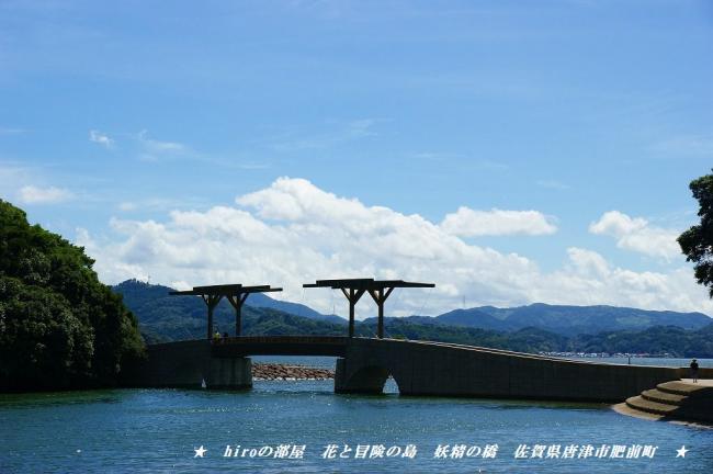 hiroの部屋　花と冒険の島　「妖精の橋」　佐賀県唐津市肥前町
