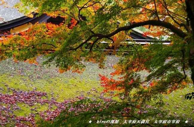 hiroの部屋　福岡の紅葉　綺麗です太宰府天満宮の紅葉　太宰府市宰府