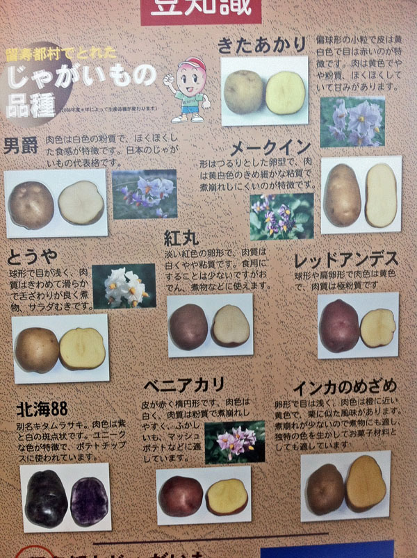 potato4.jpg