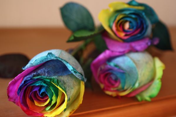 人々を幸せにする虹色の花