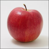 素材画像「赤いリンゴ」
