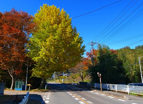 2013-11-20 鎌北湖 004