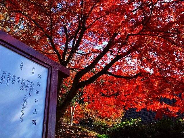 2013-11-27 星宮神社 002