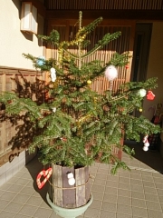 材木屋さんのクリスマスツリー