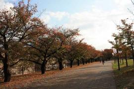 大阪城公園１
