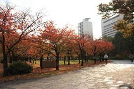 大阪城公園３