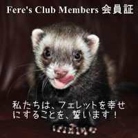 Fere's Club Members 会員証