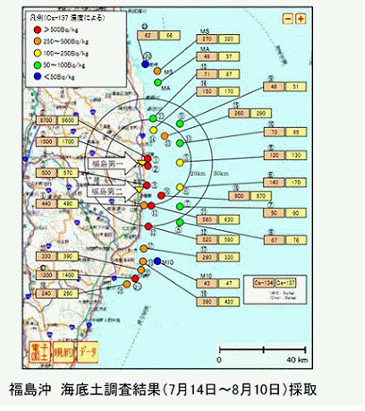 東京電力海底土８－２月