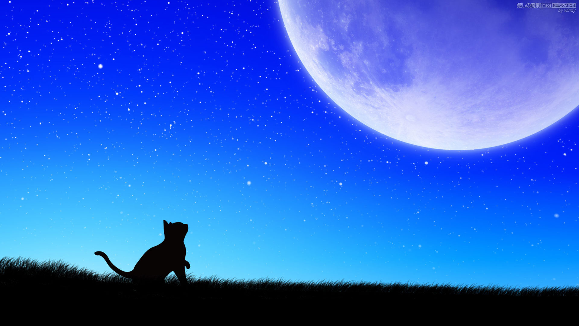 Moon Cat 癒しの風景 Image Relaxation 癒し壁紙